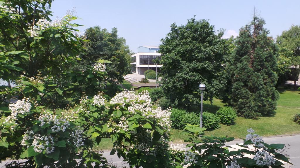 Hostel Levicki Slavonski Brod Rom bilde