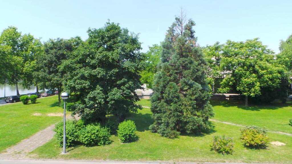 Hostel Levicki Slavonski Brod Rom bilde